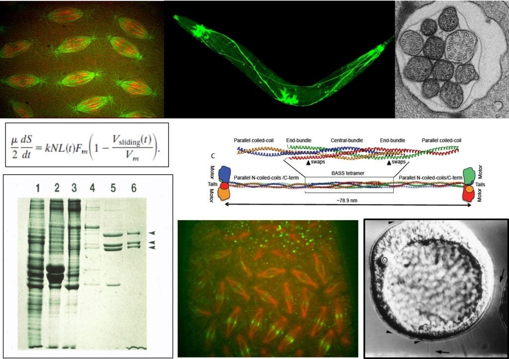 Labhomepage